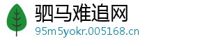 驷马难追网